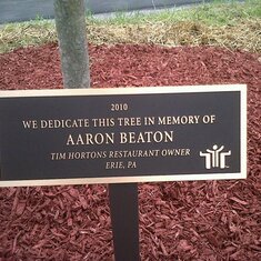 Aaron's Tree