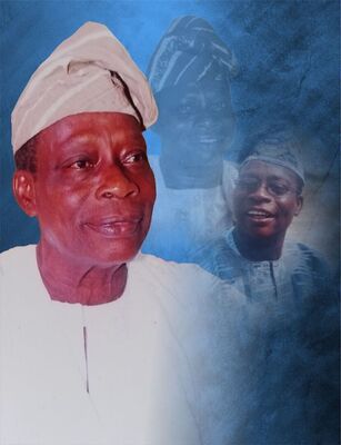 Adebola Samuel Adebamiro