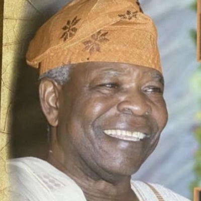 Prof. Adé Amusa, FSESA, FNIP