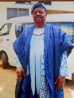 Adonis Adolphus  Adeotoye