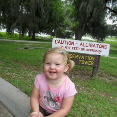 Adria alligator park