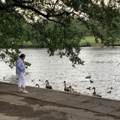 She loved feeding her swans and ducks at Grovelands Park