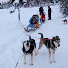 2009: Al and Paul visited Mary and Rand in Alaska in December - tried out dog sledding. Dad is in the sled.