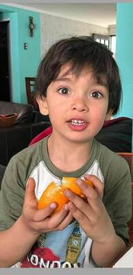 Alem Bozo