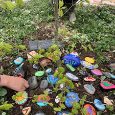 Rocks painted by friends & family placed at Alexa's tree
