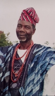 ALFRED OLUWANISOLA OLOGUN-ADELE