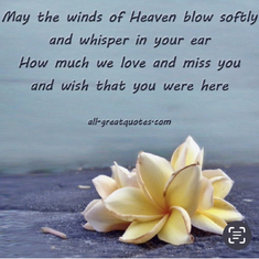 For All of Our Loved Ones in Heaven XOXO