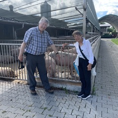 Visit of a farm in Switzerland