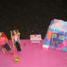 Two of Alison's Barbie dolls also joined us for the Big Sur camping trip.