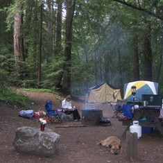 Big Sur Camping Trip May 2014 - our campsite #145 at Pfeiffer Big Sur State Park.