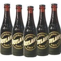 Alison loved Birch Beer and would buy it when we went to World Market.
