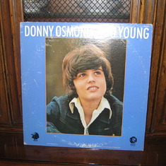 Alison was a big fan of Donny Osmond when she was young (age 12 - 13).  Alison had a poster of Donny Osmond over her bed and would kiss Donny goodnight when she went to bed.