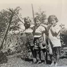 David, Allan and cousin Nancy taken at Grandma Milligan’s garden around 1956