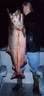 68 Pound King Salmon caught on the Kenai River