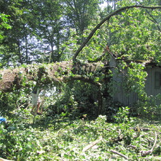 2012-06-30 Derecho damage of the Roost 