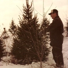 1984 Al tree selection