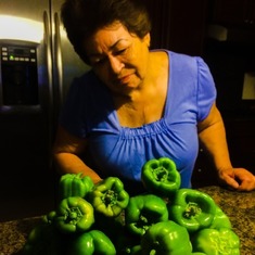 Mom loved her backyard garden. She had the greenest thumb. She could make any seed sprout or yield blooms. This was her bell pepper harvest from her raised garden beds.