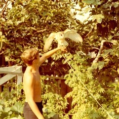 Andre & Pet Owl