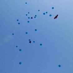 Happy Birthday my sweet Andrew. Over 40+ balloons were sent to heaven. Andrew, you are so loved and missed every day!