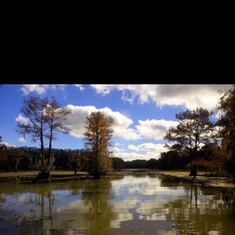 2014.11.23 Caddo Lake。 初迅摄影作品
