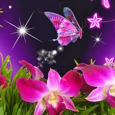butterfly-flowers-orchid-purple-vines-free-hd1172013