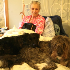 Maya and Pepper helping Grammie recuperate from back surgery a few years ago, with Maya lying on top of everyone as usual