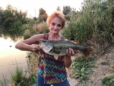 Ann Gren