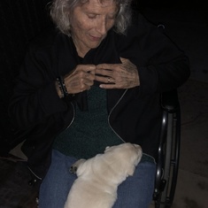 Anne with Poppy, the crazy yellow lab.