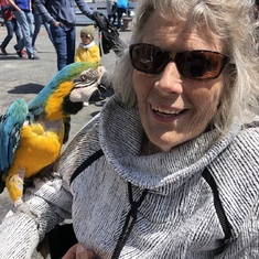 Fisherman's Wharf in Monterey.