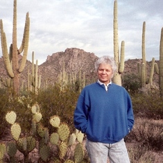 Cactus AK