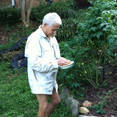 Feeding the foxes. (Sept. 2011)