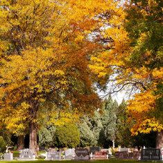 Roselawn Cemetery - Pueblo, CO - Where Anthony will be laid to rest (date TBD)