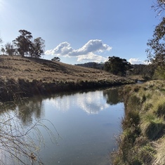 Little river in Australia with trouts on David’s brother property 