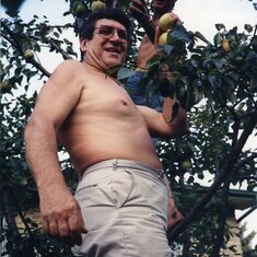 picking pears with brother Joseph (Lile)