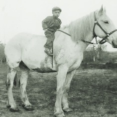 Arvin on Bill, Ragnar Slaaen's draft horse (ca. 1940).  Ragnar was Adolph's first cousin, who lived his life in Grenora, ND.