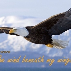 you always will be the wind beneath my wings