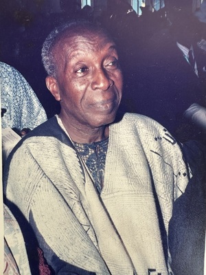 Ayodele Oluwole Senbanjo