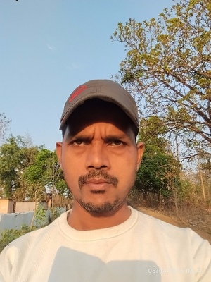 B Rana