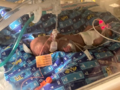Baby James Edison Terry