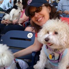 Pups in the Park @ Nats Stadium to benefit the Humane Society