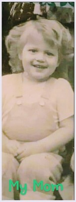 Barbara Anne Jungbauer