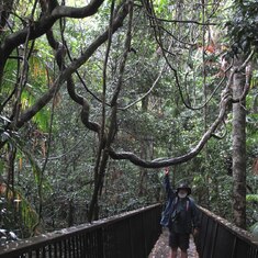 Australia tour - Barry with tropical rainforest vine Queensland.