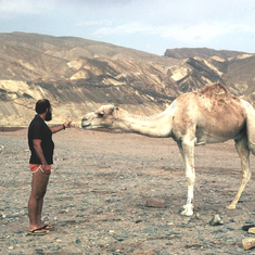 Barry making friends with a camel on the beach of the Gulf of Eilat