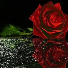 To roza dla Ciebie.... piekna jak Ty zawsze