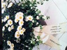 Flowers for our darling mother, sister, oma .... from her family in the states (photos: Lederers)