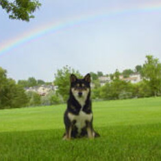 becca over the rainbow