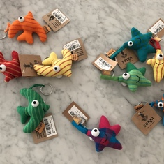 Ben brought these little sea creatures from Sri Lanka and asked me to choose one :)