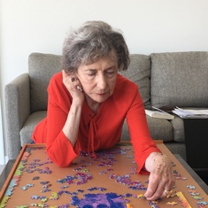 Another puzzle going down for the count at the Cape