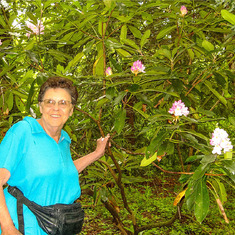 Mom Blue Ridge flowers