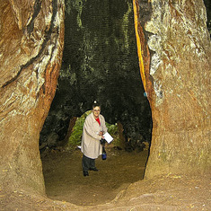 LBJ Grotto 2 2005